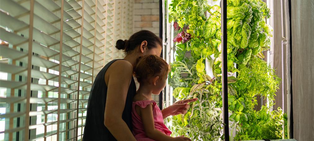 Hydroponic growing