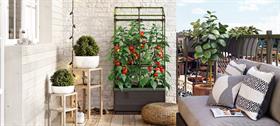 Lean-to greenhouse